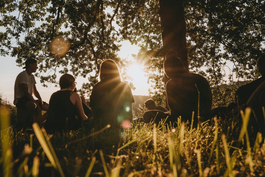Group of people sitting on the grass in a park at sunset, backlit by sunlight filtering through tree branches.