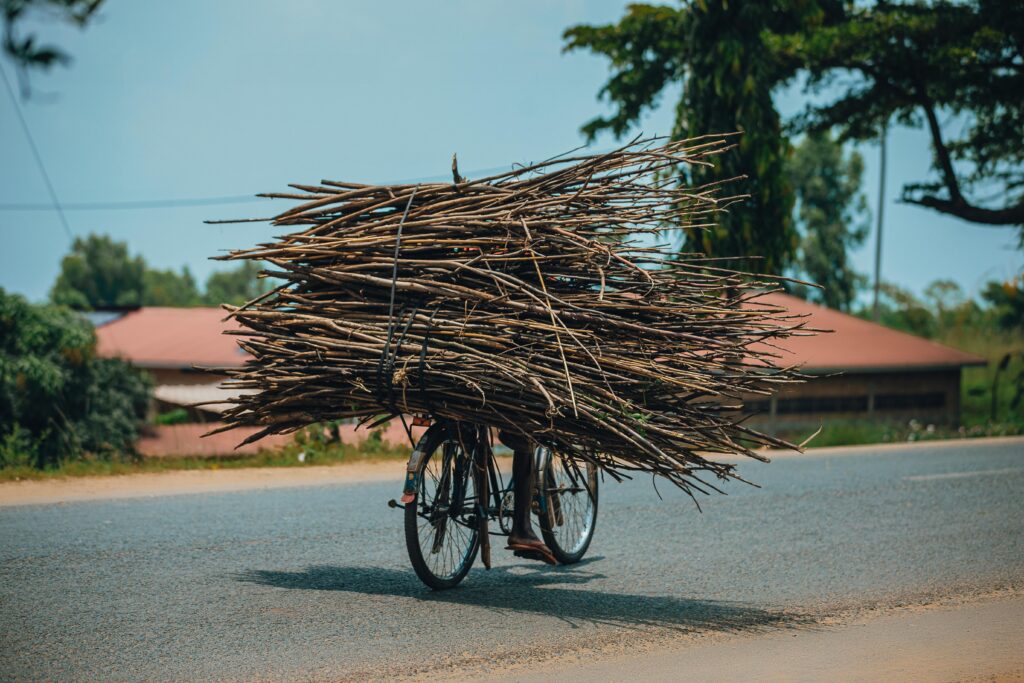 Bicycle with a large bundle of thin branches tied to its back rack on a sunny road.
